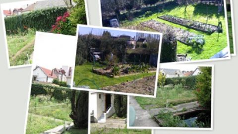 Potager en carré : le bon départ.