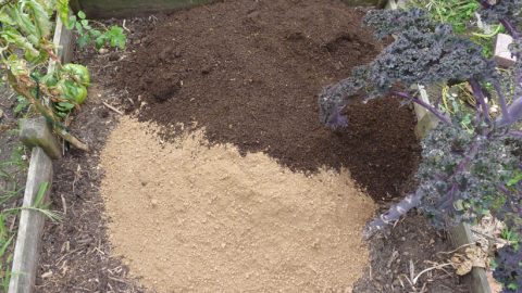 Améliorer le sol du potager en carrés.