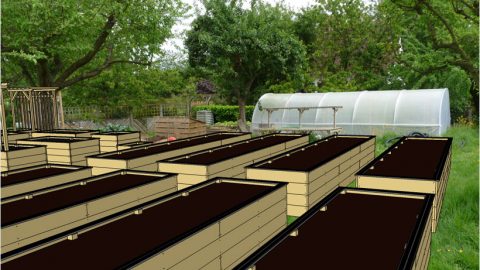 Le jardinage debout intensif