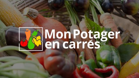 Les pratiques du potager selon Monsanto