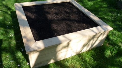 Le carré de potager en robinier