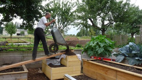 Comment remplir un carré de potager ?