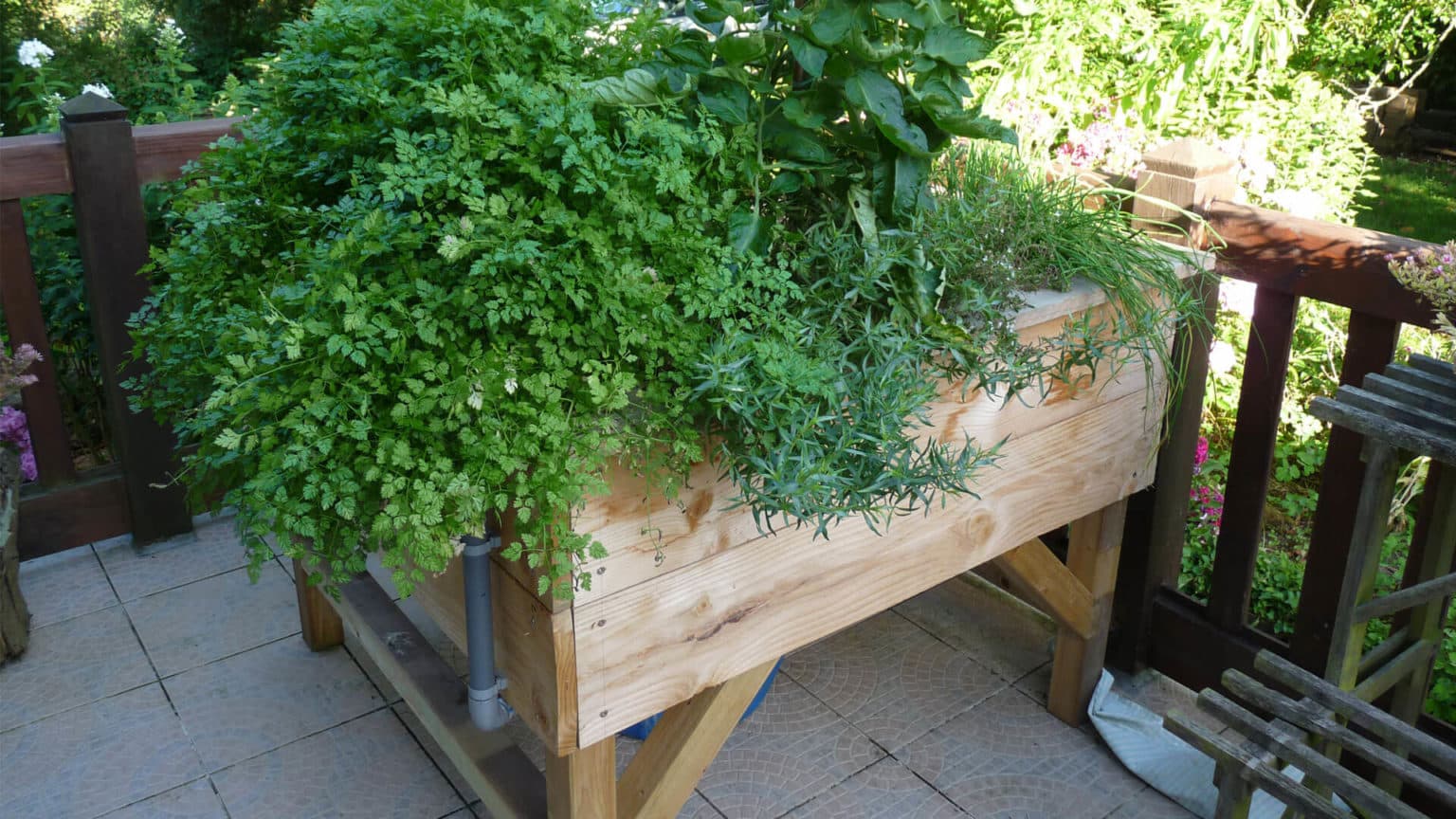 Créez Votre Potager Surélevé Le Guide Ultime pour un Jardin Productif