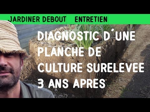 Ouverture d'un potager surélevé 3 ans après : état des lieux et analyse