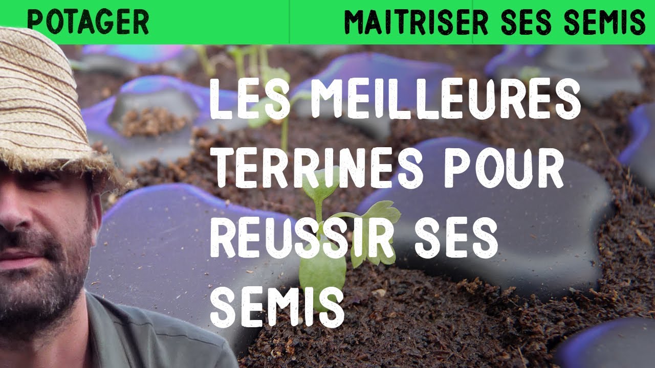 Les meilleures terrines pour réussir ses semis