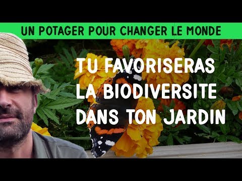 Tu favoriseras la biodiversité dans ton jardin