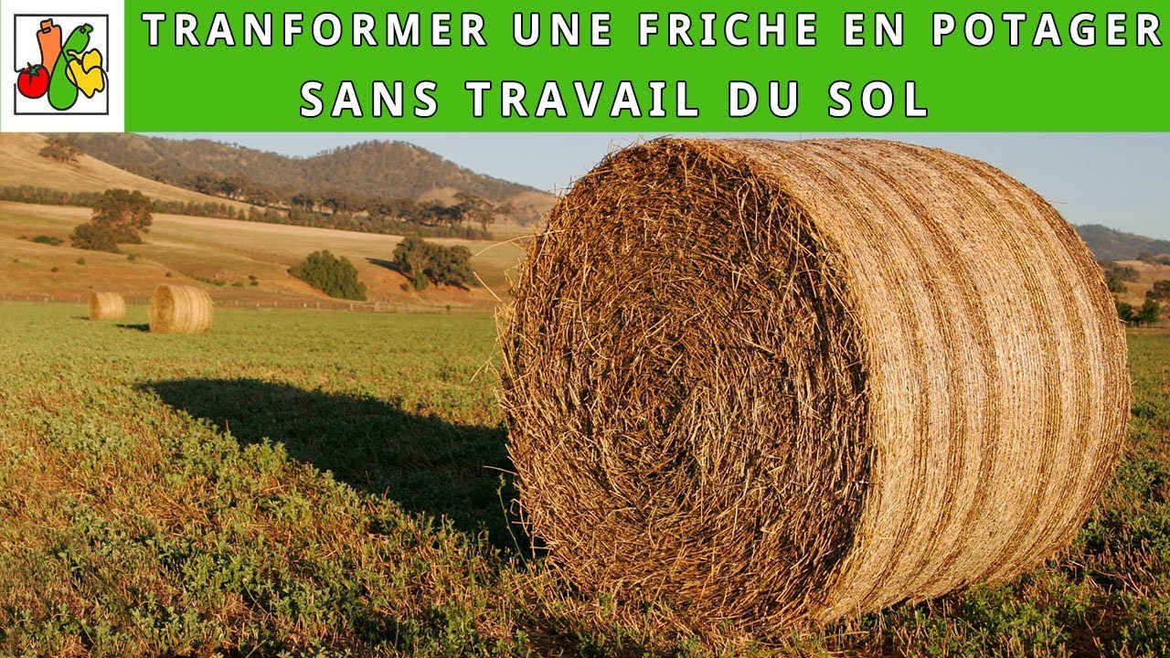 Transformer une friche en potager sans travail du sol