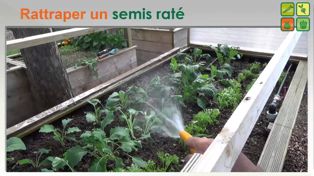 Rattraper un semis raté