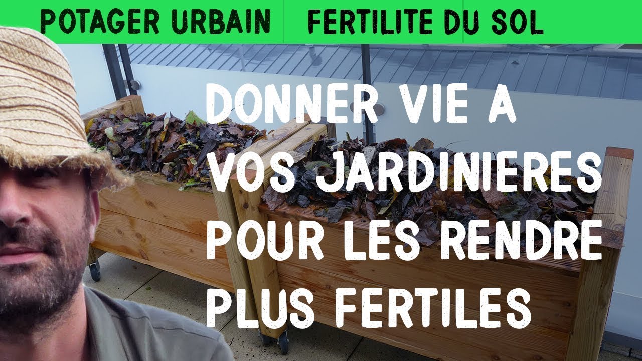 Donner vie à vos jardinières pour les rendre plus fertile