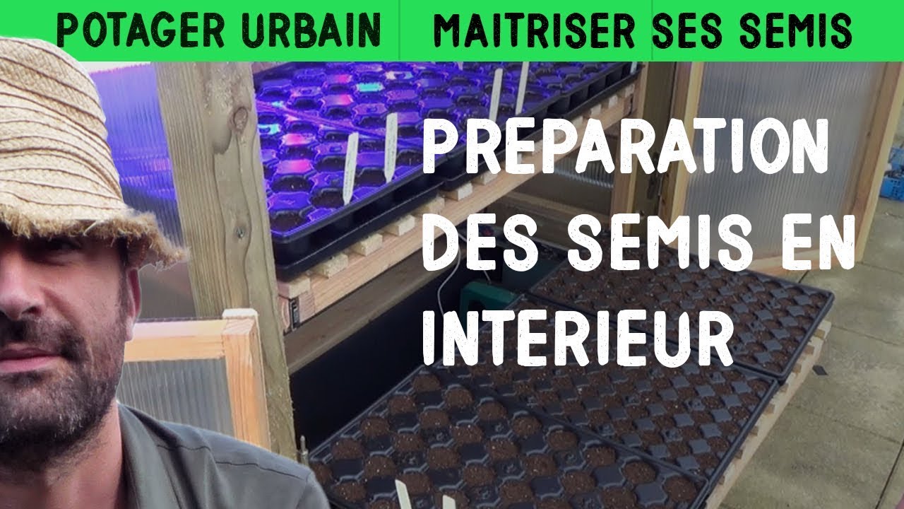 Semis en intérieur : astuces et matériel pour réussir facilement