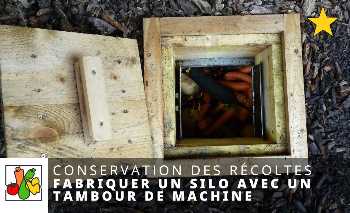 Conservation des légumes racines