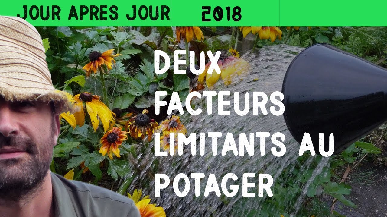 Arrosage du potager surélevé