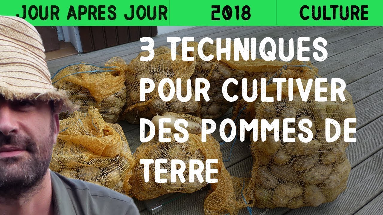 3 techniques pour cultiver des pommes de terre dont deux sans travail du sol