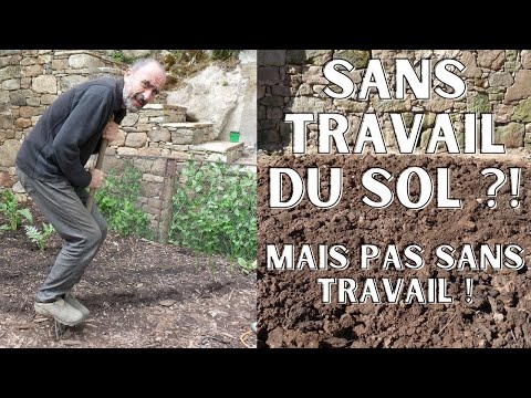 Mon premier potager sans travail du sol et visite du terrain