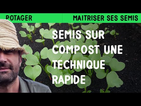 Semis sur compost : Une technique révolutionnaire pour un potager sans effort