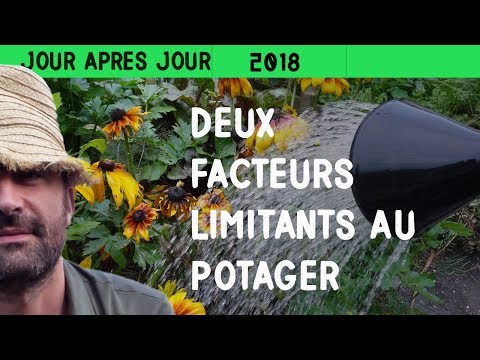 Arrosage du potager surélevé