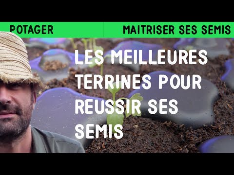 Les meilleures terrines pour réussir ses semis