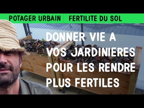 Donner vie à vos jardinières pour les rendre plus fertile