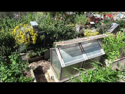 360 degré sur mon potager en carrés