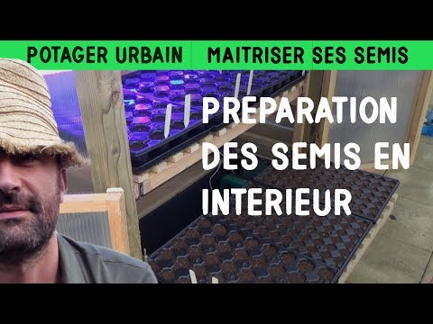 Semis en intérieur : astuces et matériel pour réussir facilement