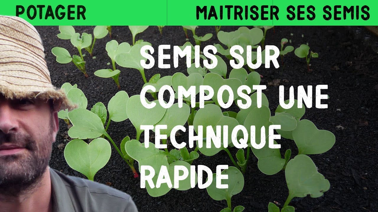 Semis sur compost : Une technique révolutionnaire pour un potager sans effort