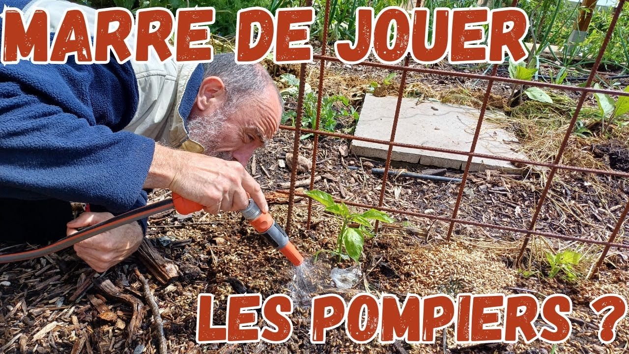 Arrosage automatique du potager : Evolution de mon installation avec les années