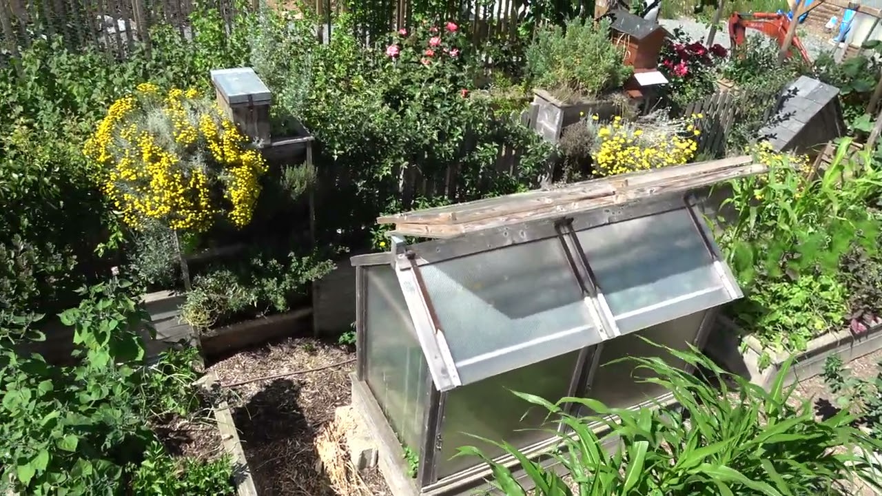 360 degré sur mon potager en carrés