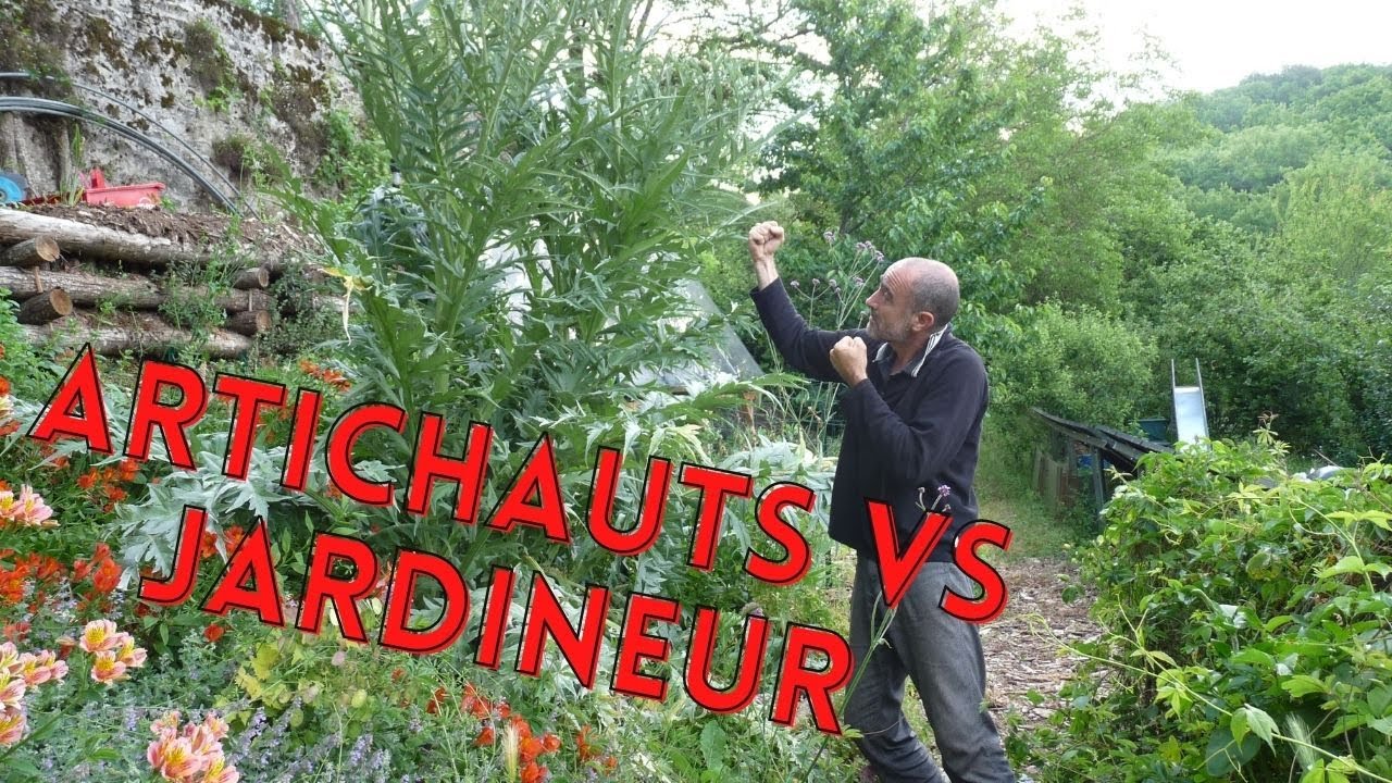 Rendre un sol fertile : Ma stratégie du paillage au potager