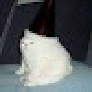 Photo de Profil de Lucas