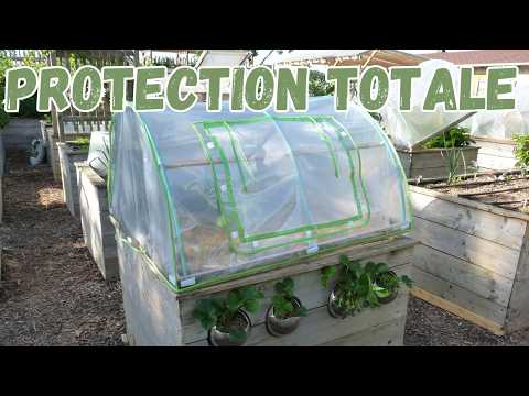 Fabriquer un tunnel de forçage. un carré potager avec serre pour les jardiniers malins