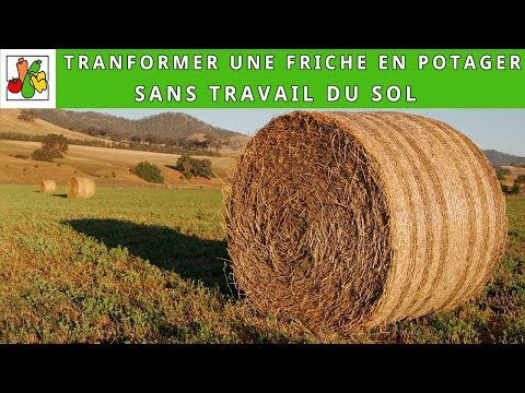 Transformer une friche en potager sans travail du sol