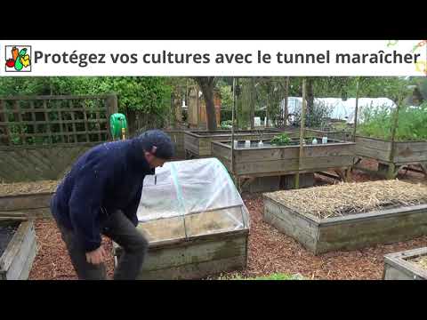 Des carrés de potager avec serre amovible