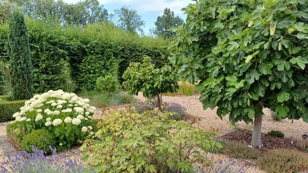 Jardin de curé a Villevayre