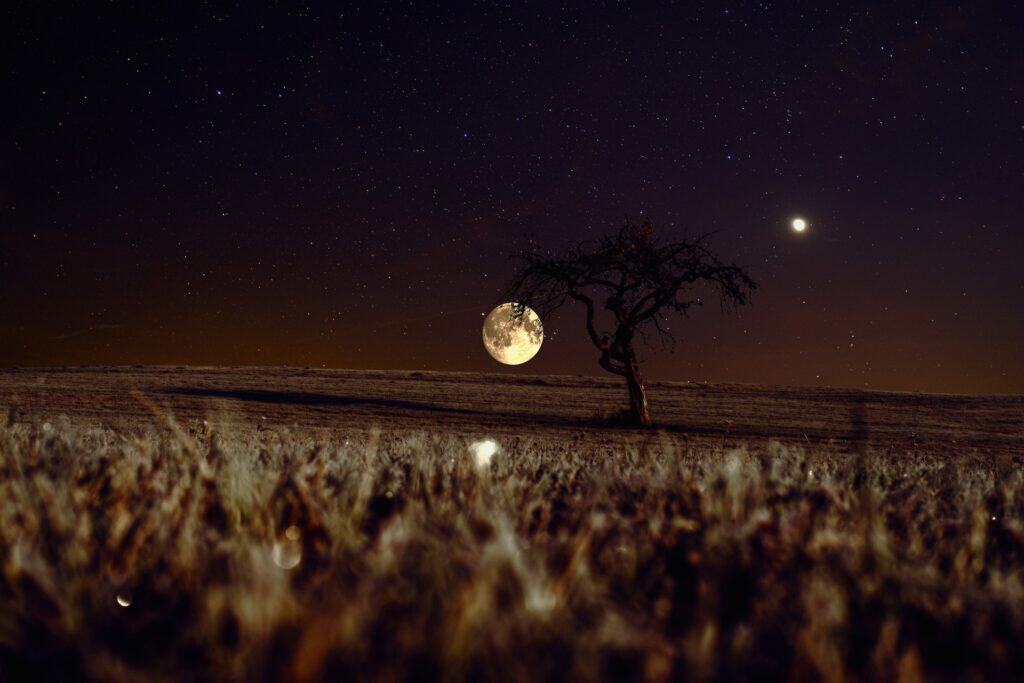 Jardiner avec la lune