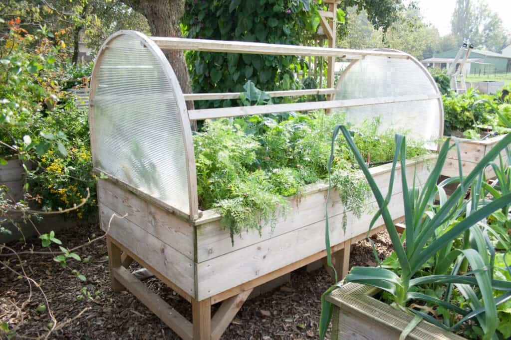 Potager sur pieds avec serre amovible