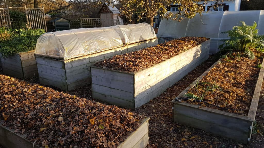 Bacs potagers surélevés pour jardiner debout