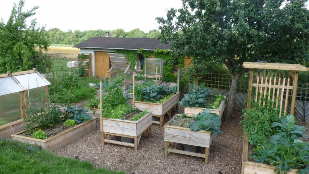 Des potager surélevés sous un pommier : la solution pour planter des légumes autour des arbres