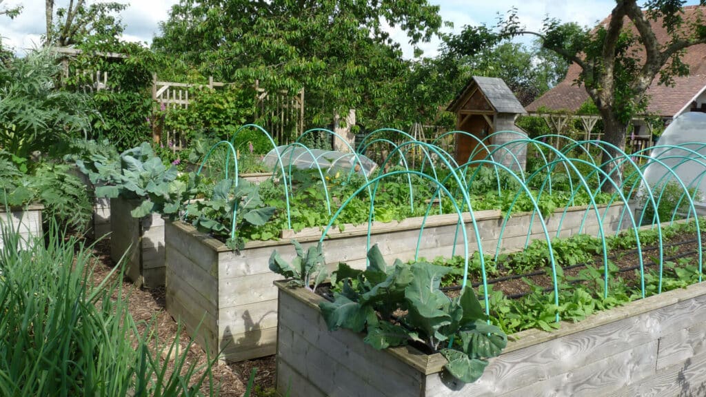 J'ai créer un potager en carré surélevé de 80cm pour jardiner sans se baisser