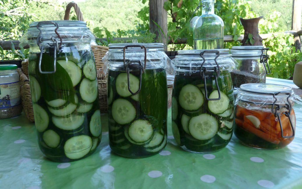 Les bienfaits de la lacto-fermentation sur la santé - Les Bienfaits De La Lactofermentation Sur La Sant%C3%A9 1038x649