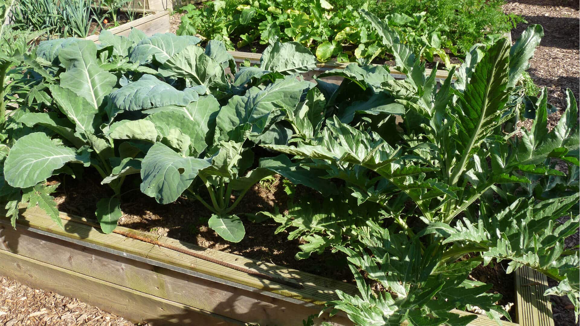 Details about   Jardin Grand Tissu Surélevé Plantation Grow Lit Légumes Plante Grow Sac Bo Neuf 