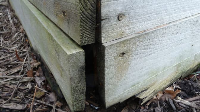 Retour d'expérience sur le potager surélevé après 10 ans d'utilisation