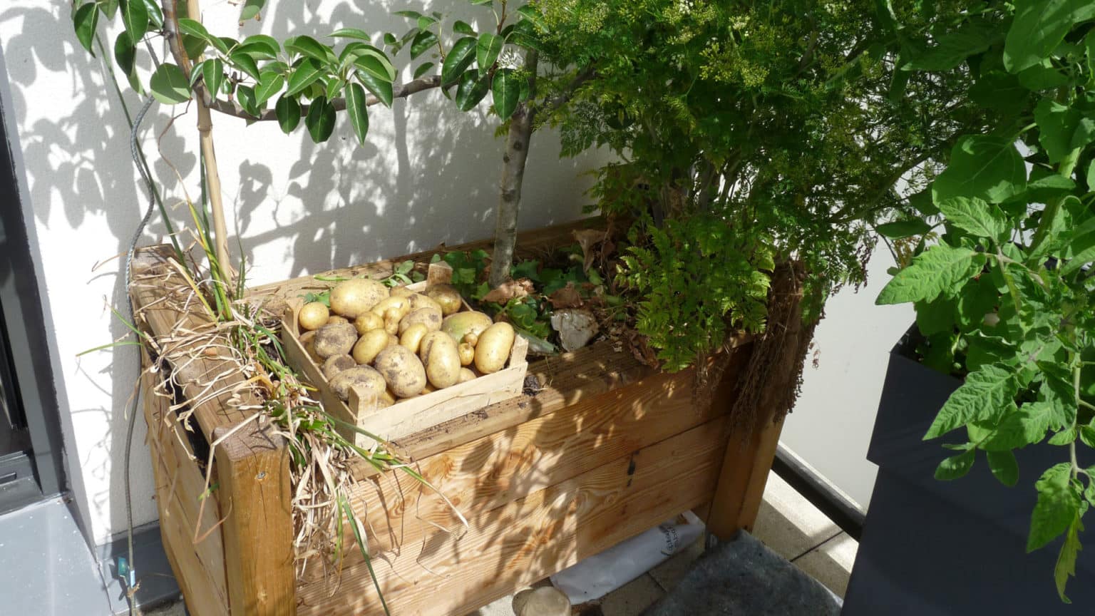Jardinière wicking bed ou jardinière autonome La fabrication