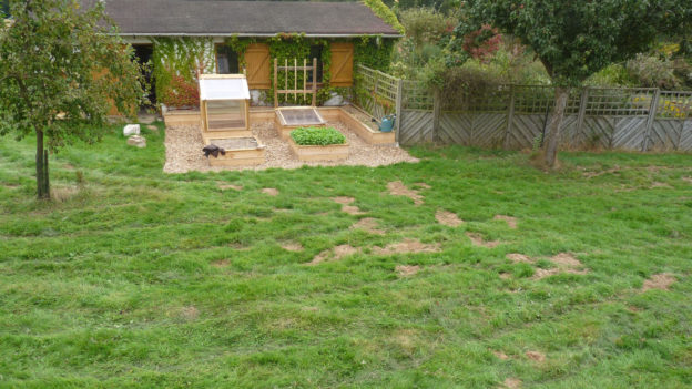 Bien choisir emplacement pour un potager en carrés est très important pour le devenir de celui ci.