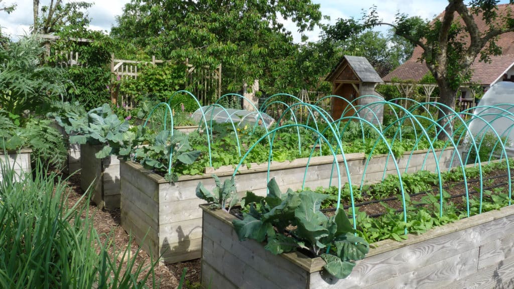 Potager surélevé en bois de grande taille