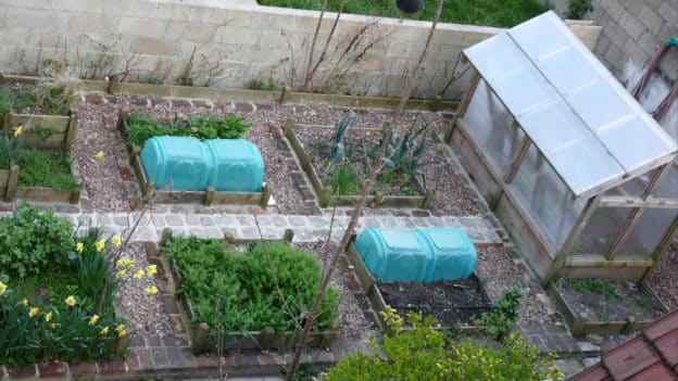 Potager en carrés pour débutants