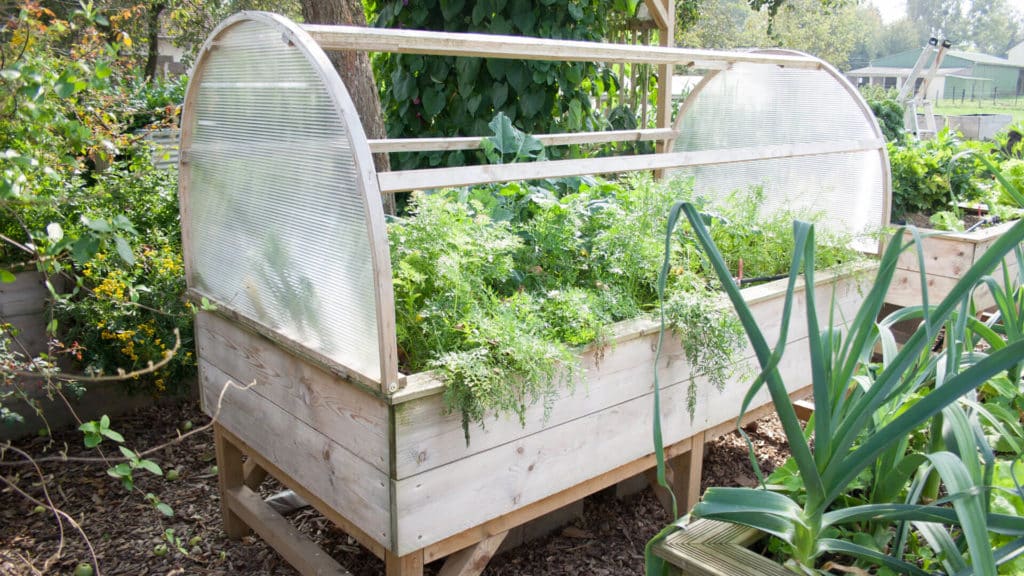 Carré potager sur pieds avec serre semi-rigide