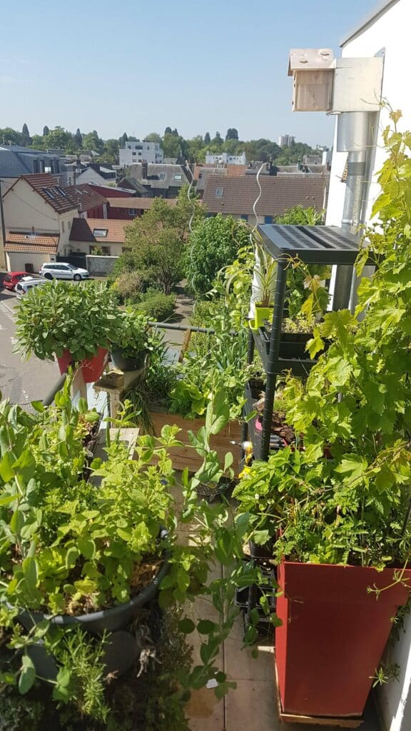 Le potager sur terrasse coté ouest