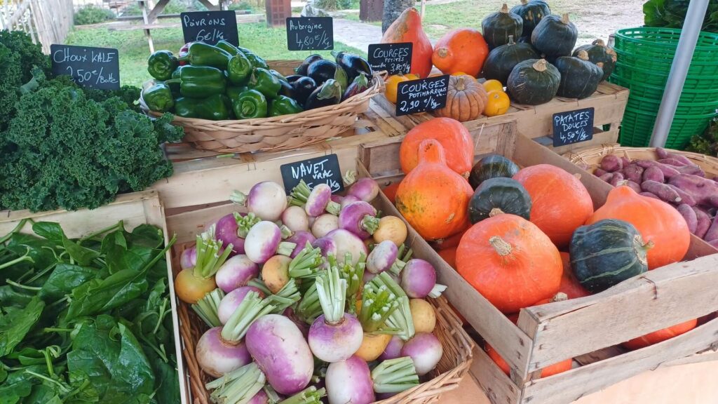 Légumes de décembre