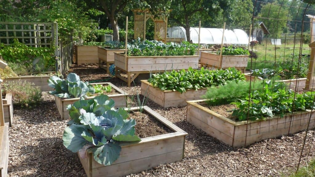 meilleur carré de potager haut de 40cm