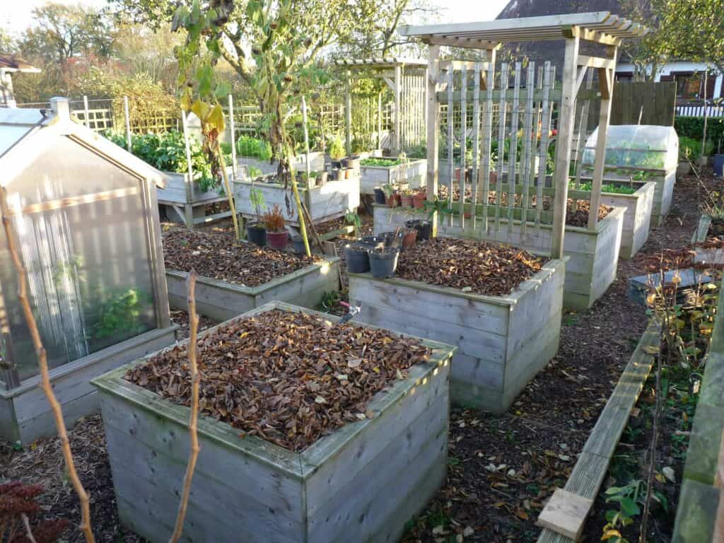 meilleur carré de potager surélevé paillé pour l'hiver